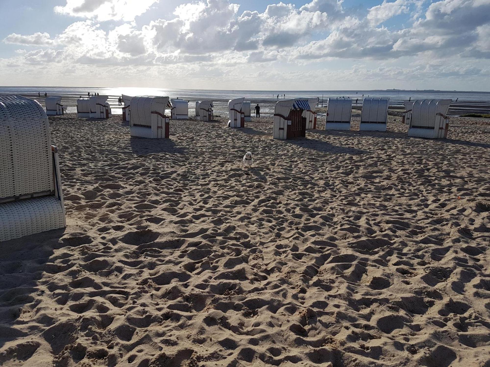 Апартаменты Watt & Wind - Tolles Schwimmbad Куксхафен Экстерьер фото
